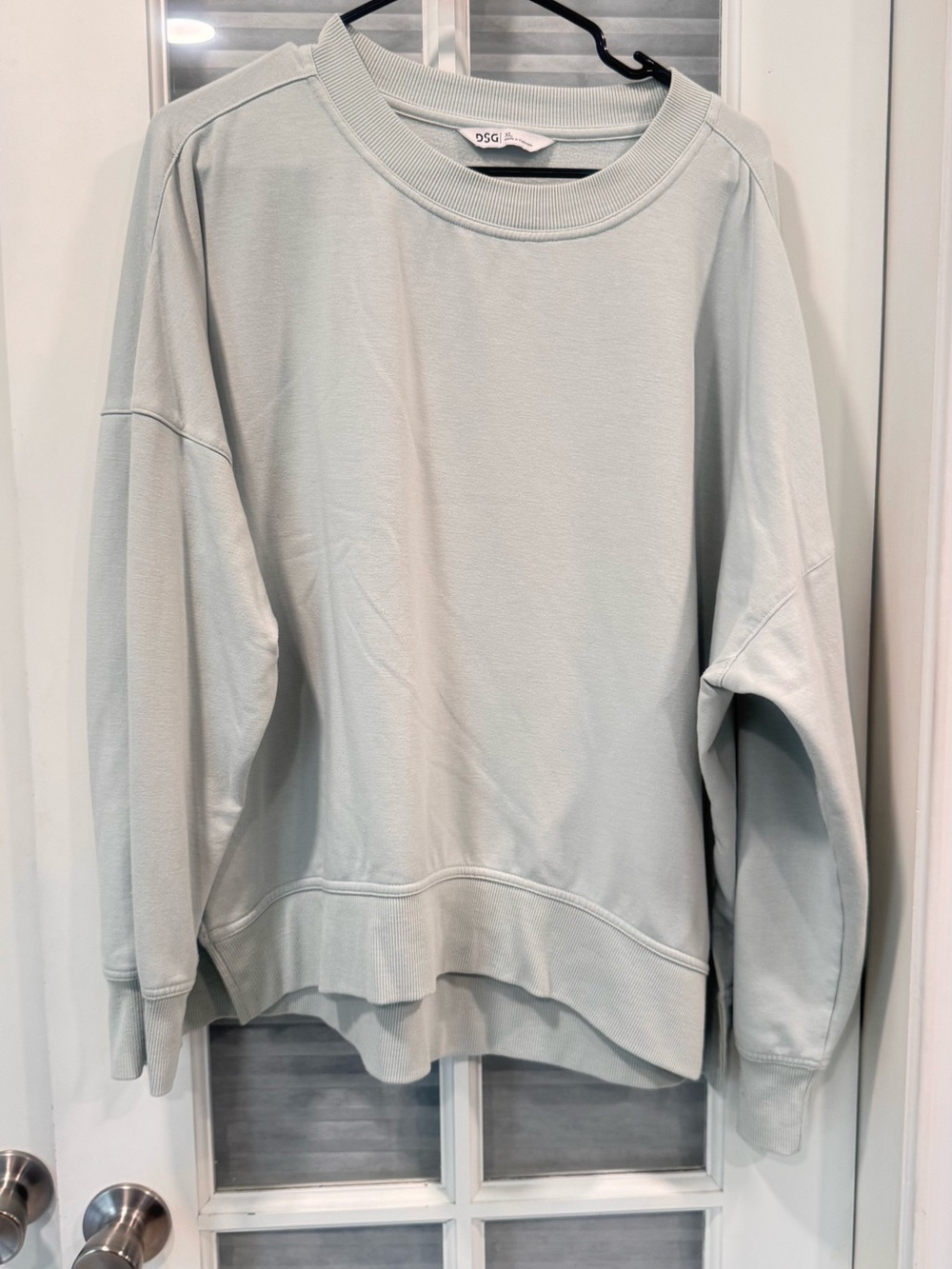 DSG Relaxed Crewneck Sweatshirt in Mint